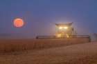 Combine harvesting soybeans as full moon rises (harvest moon)-Marion County-Illinois Art Print